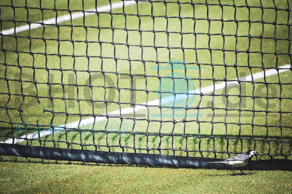 WTA Bad Homburg | Sport
© Björn Reichert/Bhoto.de 