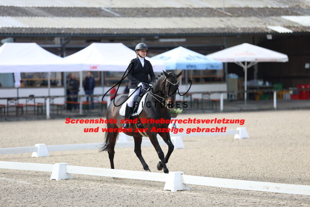 A40A3160 | lmwpictures - Realisiert mit Pictrs.com