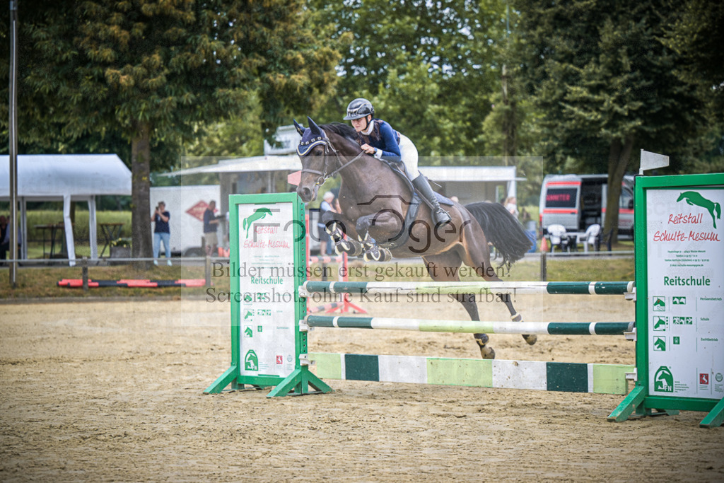 DOS_8385 | Entdecke hochwertige Reitturnierfotos von Foto Oger. Professionell, emotional und authentisch – jetzt Lieblingsmomente im Shop bestellen.Deutschlandweite Turnierfotografie. - Realisiert mit Pictrs.com
