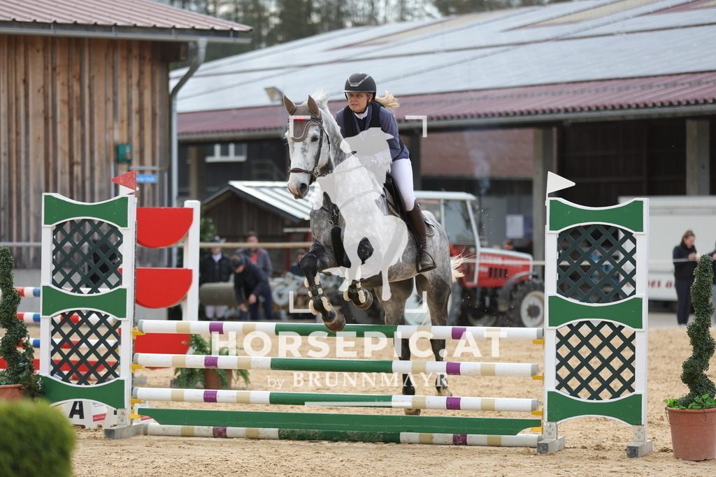 0P6A8516 | Willkommen bei Brunnmayr - Design & Fotografie – Ihrem Spezialisten für Reitturniere und Pferdeveranstaltungen in Oberösterreich, Salzburg und Bayern! Seit über 17 Jahren sind wir leidenschaftlich dabei.