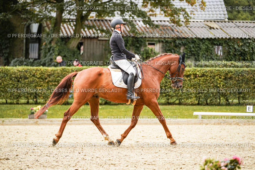 DSC08446 | Pferdegrafie