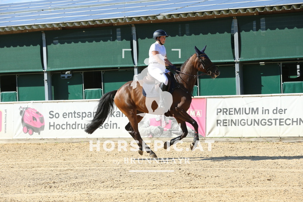 DL2Q8039 | Willkommen bei Brunnmayr - Design & Fotografie – Ihrem Spezialisten für Reitturniere und Pferdeveranstaltungen in Oberösterreich, Salzburg und Bayern! Seit über 17 Jahren sind wir leidenschaftlich dabei.
