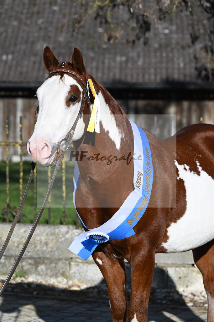 Kat-Nr. 10 ARH Like One Marvel v. One Gun_Reicherzer_49250550 | hf-fotografie - Realisiert mit Pictrs.com