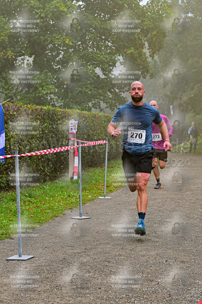 Z8N_1251 | la-psv - Realisiert mit Pictrs.com