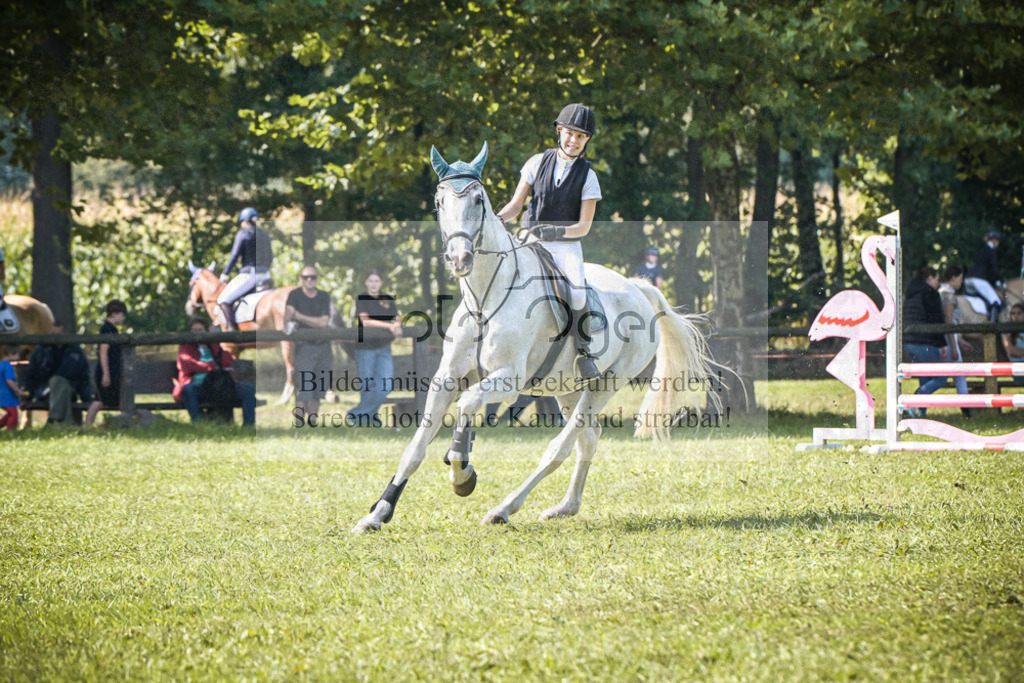 DOS_0477 | Entdecke hochwertige Reitturnierfotos von Foto Oger. Professionell, emotional und authentisch – jetzt Lieblingsmomente im Shop bestellen.Deutschlandweite Turnierfotografie. - Realisiert mit Pictrs.com