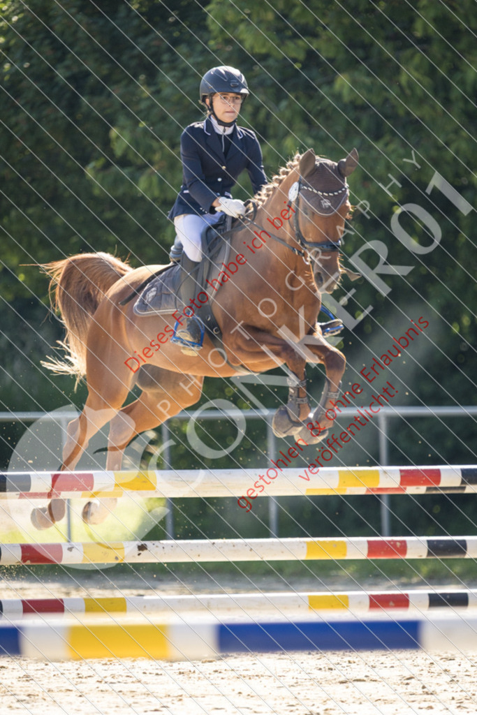 IMG_2598 | Sport-, Event- und Tierfotos in Profiqualität. Einfach auswählen, bestellen und herunterladen. Dein Moment – perfekt festgehalten.