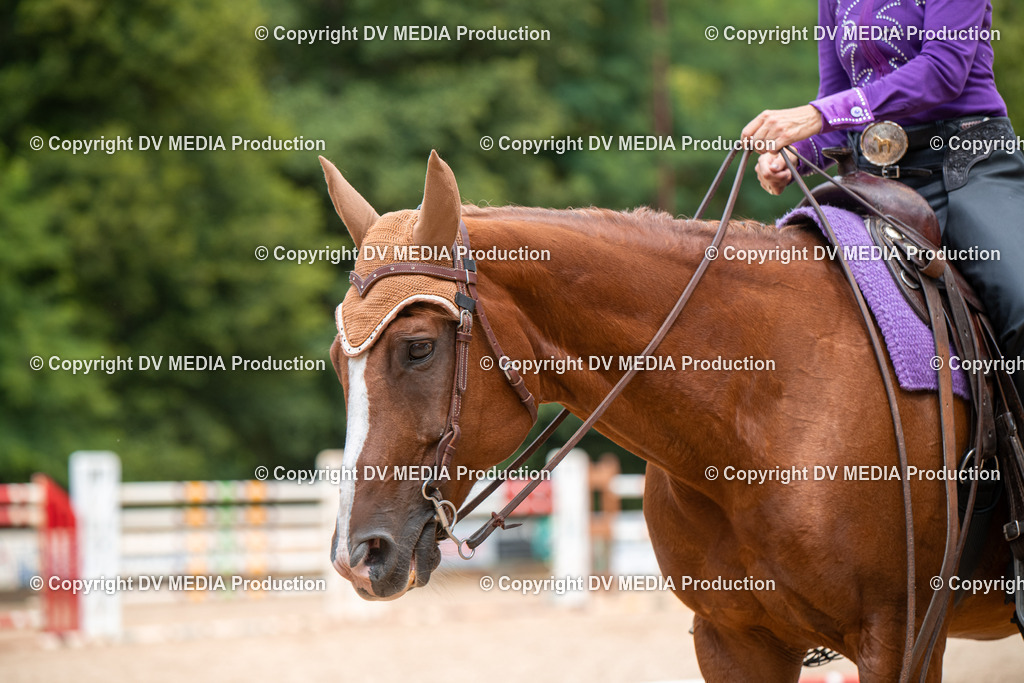 ZS2_8175 | dv-media-shop - Realisiert mit Pictrs.com