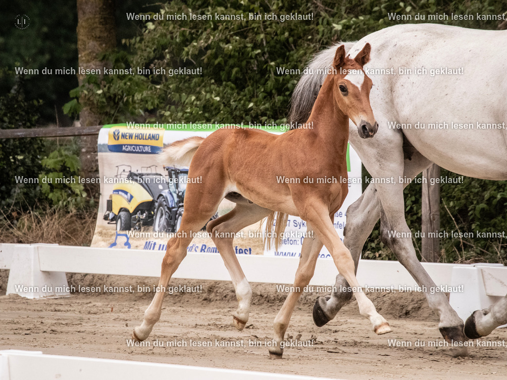 A10I9468 | photographylinaismer - Realisiert mit Pictrs.com