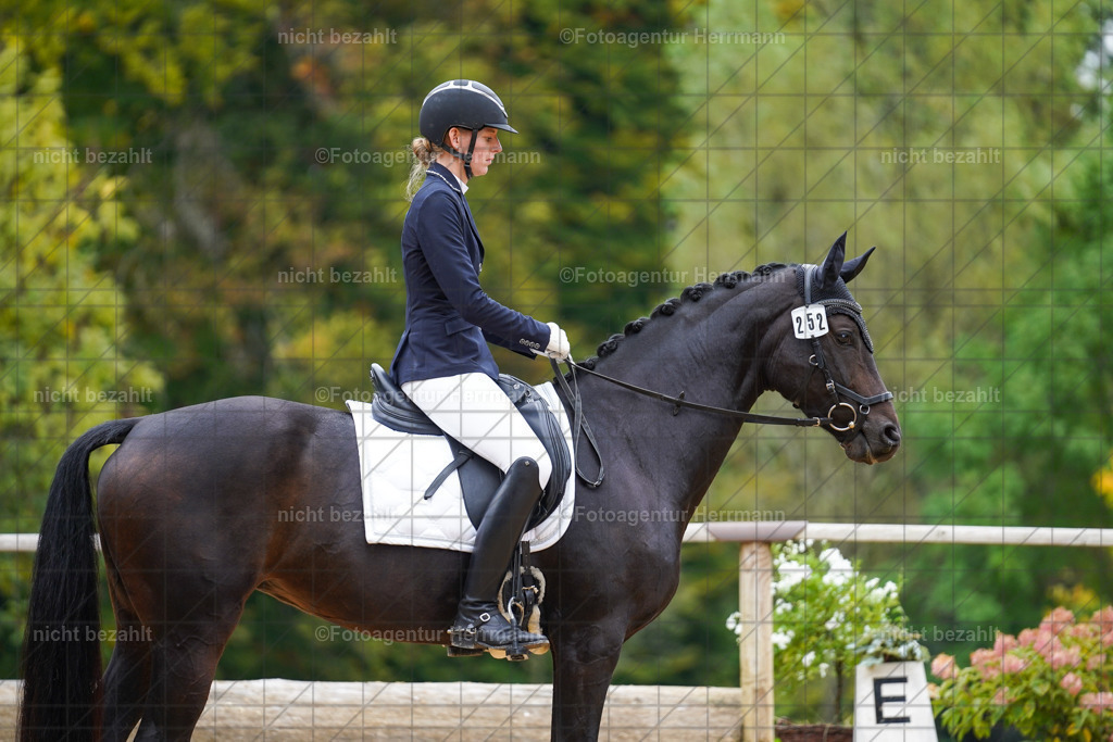 20221008-FAH01466 | Diessen am Ammersee, 2022, Dressur- und Springturnier, Reitsportbilder, Turnierfotografen Bayern, Pferdefotografen, Fotoagentur Herrmann, Turnierbilder