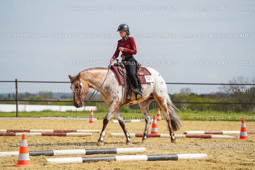 DSC04423 | Pferdegrafie