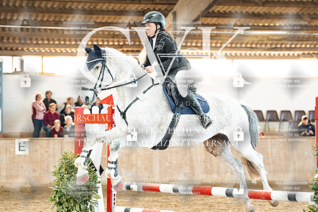 CK904356 | Turnierfotografie Pferdefotografie Trier Rheinland-Pfalz Pferdesport Reitsport Tierfotografie Sportfotografie Pferdevideo Pferdevideografie Equestrianvideography equestrianphotography  - Realized with Pictrs.com