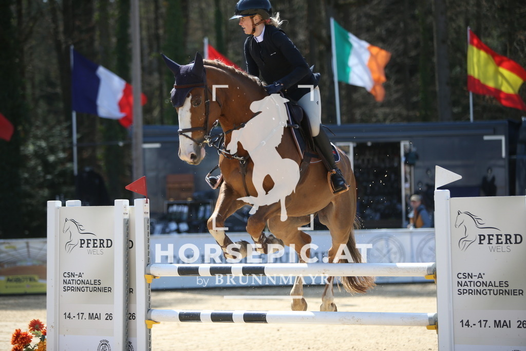 PP014365 | Willkommen bei Brunnmayr - Design & Fotografie – Ihrem Spezialisten für Reitturniere und Pferdeveranstaltungen in Oberösterreich, Salzburg und Bayern! Seit über 17 Jahren sind wir leidenschaftlich dabei.