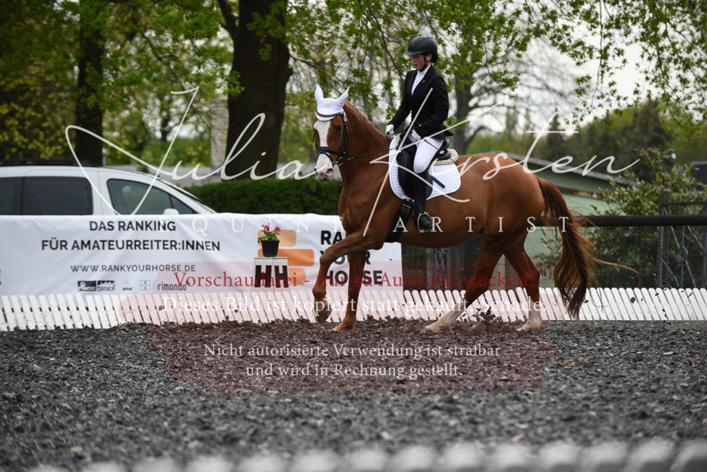 20230513_JK-Röhrsdorf-16-142 | Pferde- und Turnierfotografie in Westsachsen. Pferdeportraits, Auftragszeichnungen und intuitive Kunst.