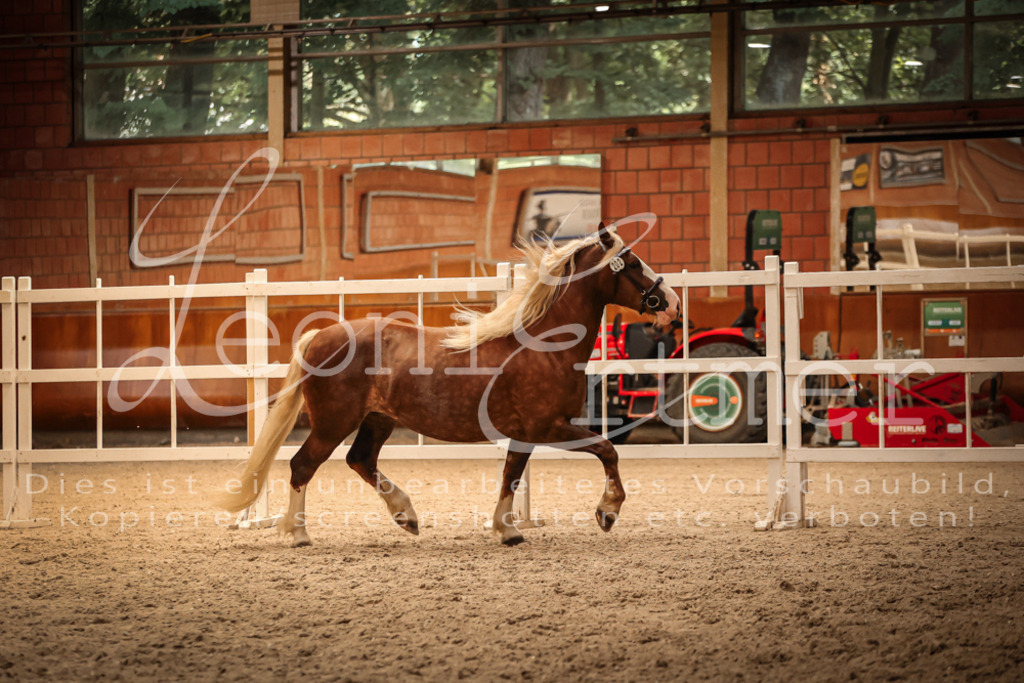 SaFL00461 | Leoni Ertmer Photography - Realisiert mit Pictrs.com