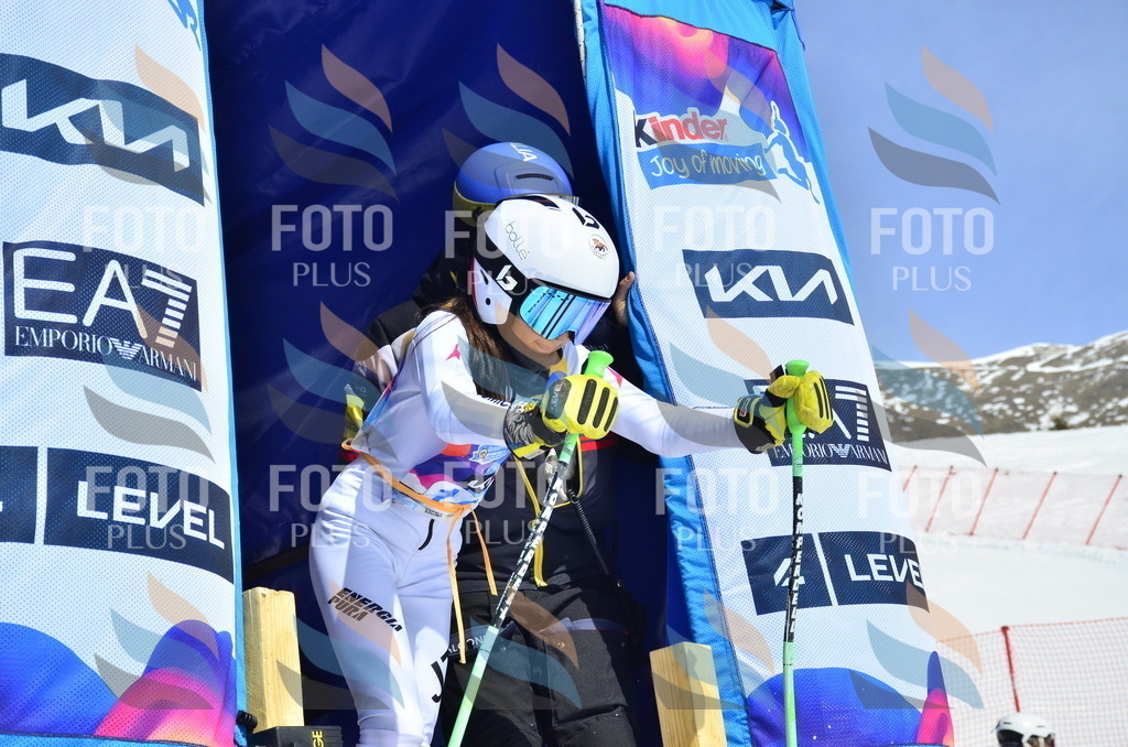 _ELE1111 | holidayphoto