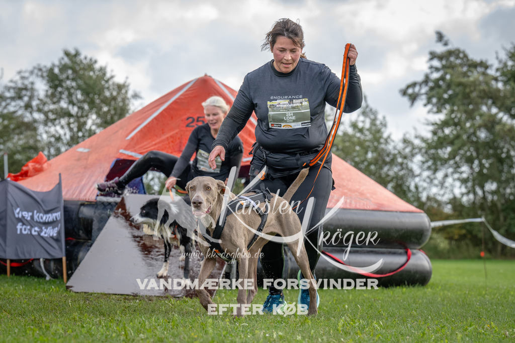 1222-93480 | kk-dogfotos