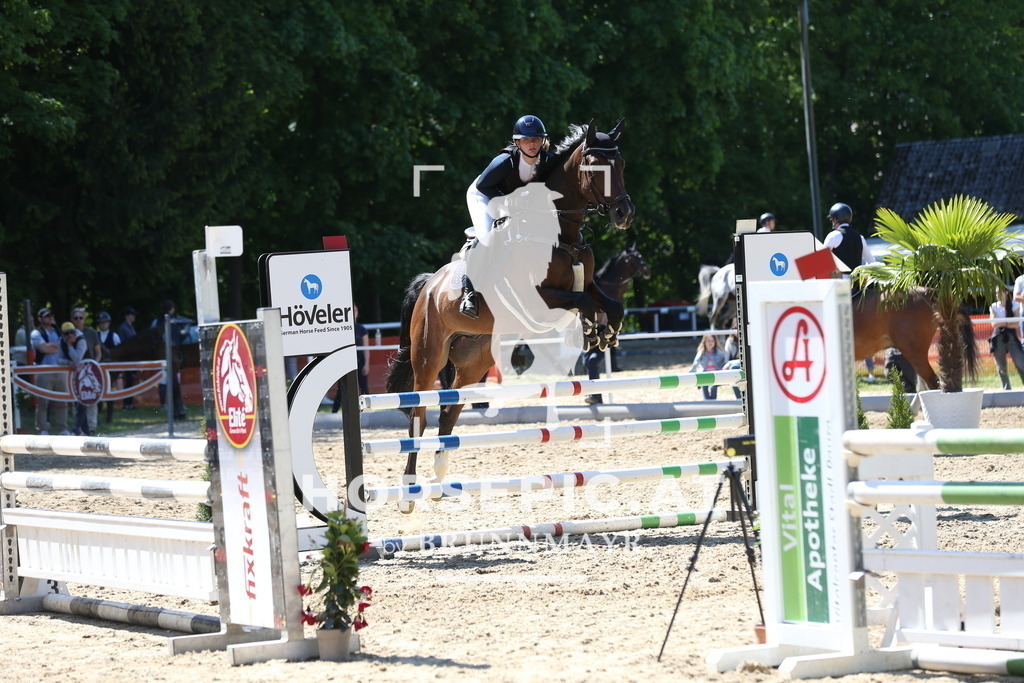 DL2Q2150 | Willkommen bei Brunnmayr - Design & Fotografie – Ihrem Spezialisten für Reitturniere und Pferdeveranstaltungen in Oberösterreich, Salzburg und Bayern! Seit über 17 Jahren sind wir leidenschaftlich dabei.