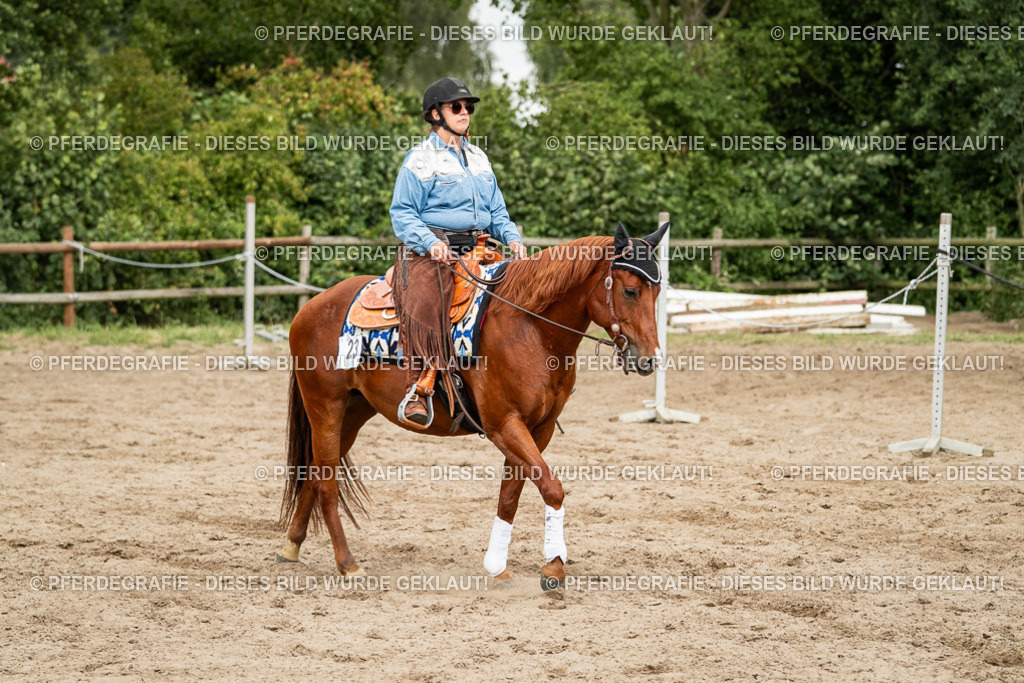 DSC03334 | Pferdegrafie