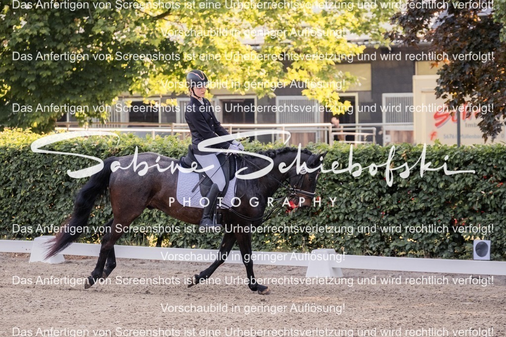 2025_05_31_DSCF2555 | People- und Tierfotografie, Imageaufnahmen, Veranstaltungsfotografie und Wandbilder aus der Natur ★ Made in Germany ✔️ Druck + Downloads ✔️ Naturfotografie in Top Qualität ★ schneller Versand, weltweite Lieferung! - Realisiert mit Pictrs.com