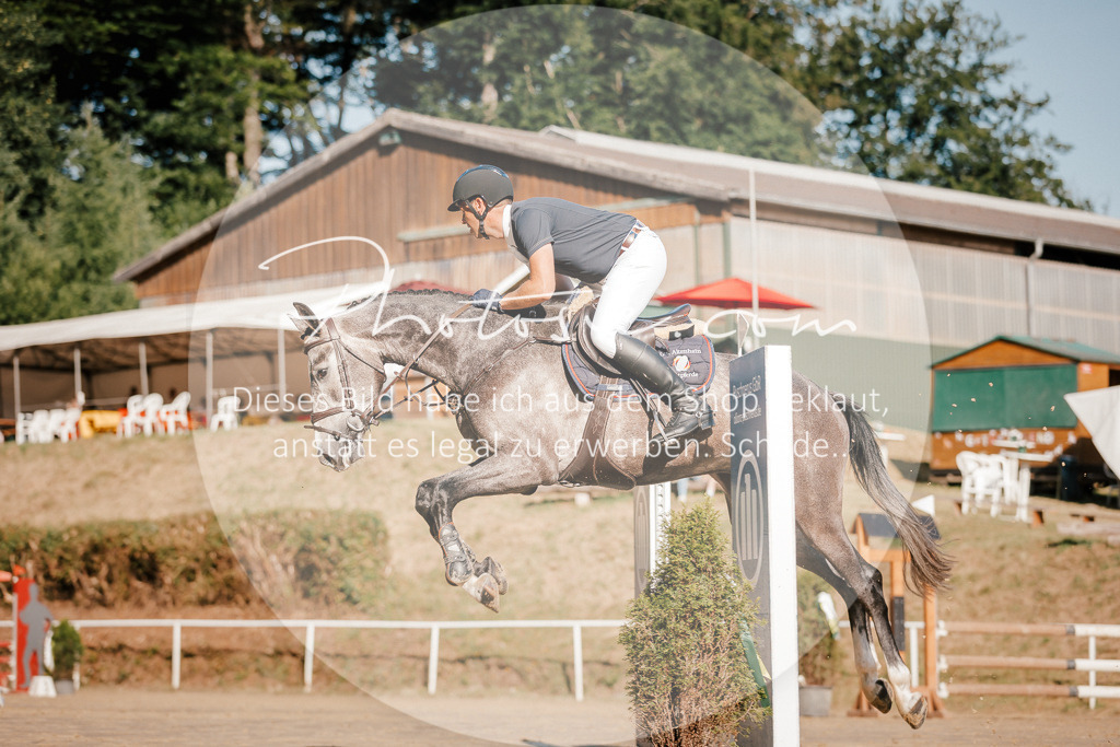 3I6A6319 | Stimmungsvolle Portraits und Reitsportfotografie im Ruhrgebiet und im Münsterland.

Pferdefotografie, Hundefotografie, Tierfotografie, Reportagen, Portraits von Tier und Mensch, Turnierfotografie in Bochum, Recklinghausen, Marl, Haltern am See, Dülmen.. - Realisiert mit Pictrs.com