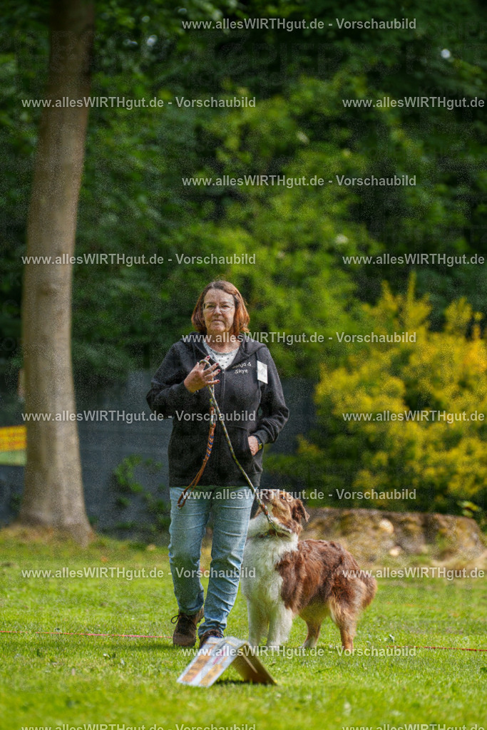 @allesWIRTHgut_Tierfotografie - www.allesWIRTHgut.de - 094742-7R507648 | Professionelle Tierfotografie in Mönchengladbach von Daniel Wirth (allesWIRTHgut). Liebevolle & natürliche Bilder von Hunden & Katzen für unvergessliche Erinnerungen.