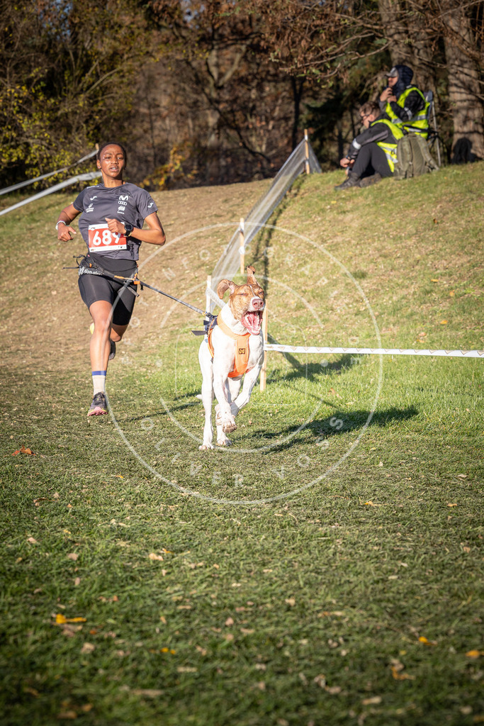 CaniXpix_0L8A9320 | Hundefotografie, Tierfotograf, Pfotenfotografie, Fotoshooting Hund, Hunde Portrait, Hundesport, Hundeportraits, Heideshooting, Hunde, Sportfotograf, Hundefotograf, Turnierhundsport, THS,  - Realisiert mit Pictrs.com