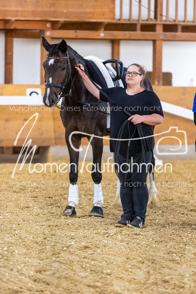 VTD-Voltigierpferde-051 | MomenTaufnahmen Pferdesportfotos