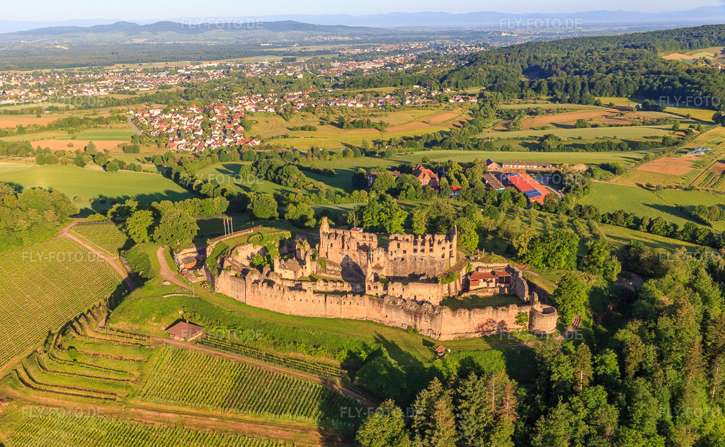 Luftbild: Festungsruine Hochburg bei Emmendingen aus Osten im Ortsteil Windenreute in Emmendingen im Bundesland Baden-Württemberg in Deutschland. Foto: IMG_147554.jpg vom 30.05.2025 durch Werner Riehm/FLY-FOTO.deHochburg bei Emmendingen