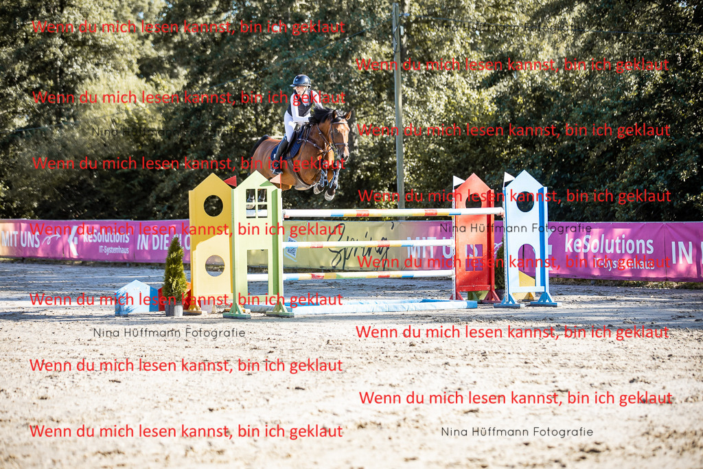 BK1A8640 | Turnierbilder Turnierfotos Nina Hüffmann Turnierfotografie Pferdefotografie Tierzeichnung Haustierzeichnung Pferdezeichnung Hundezeichnung Videograf  - Realisiert mit Pictrs.com