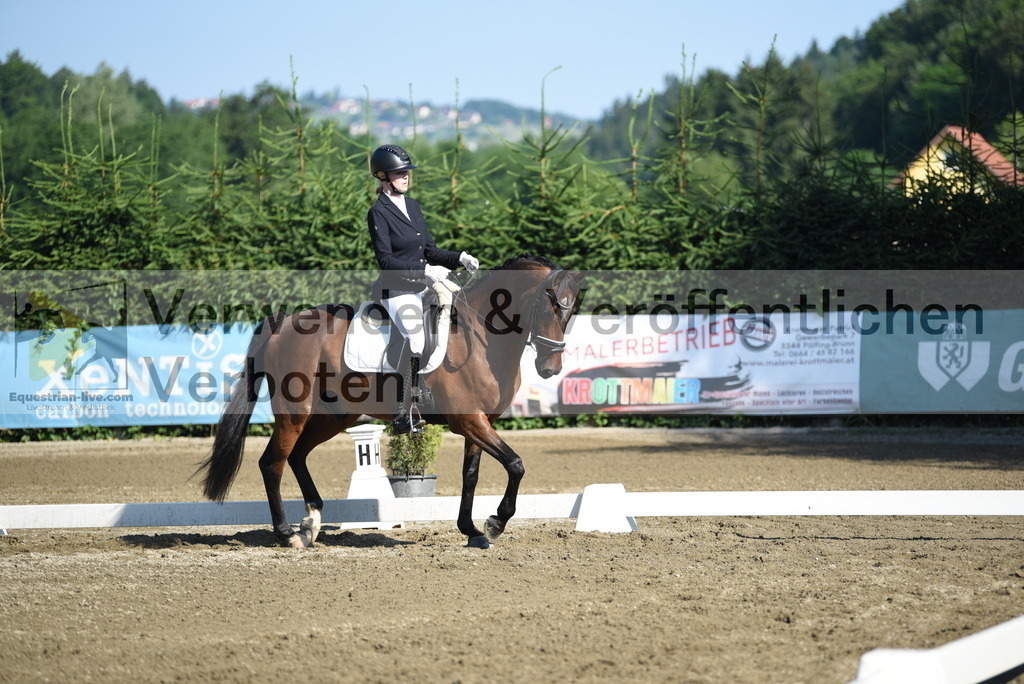 DSC_7179 | equestrian-live-com