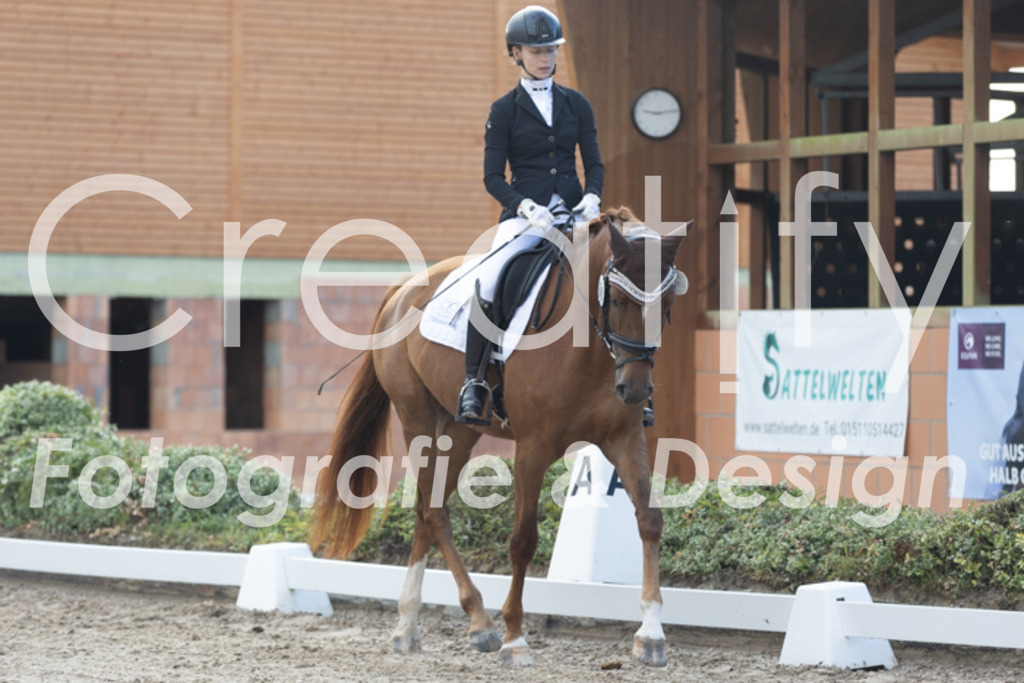 IMG_9872 | Creatify Fotografie