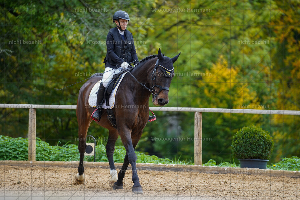 20221008-FAH01119 | Diessen am Ammersee, 2022, Dressur- und Springturnier, Reitsportbilder, Turnierfotografen Bayern, Pferdefotografen, Fotoagentur Herrmann, Turnierbilder