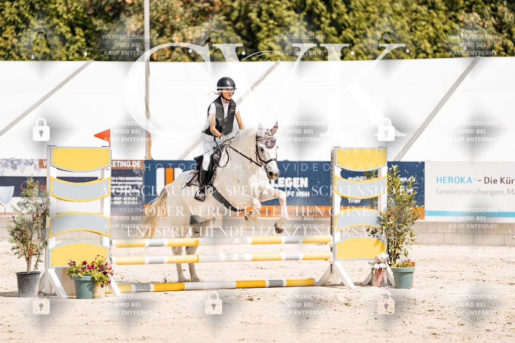 CK906483 | Turnierfotografie Pferdefotografie Trier Rheinland-Pfalz Pferdesport Reitsport Tierfotografie Sportfotografie Pferdevideo Pferdevideografie Equestrianvideography equestrianphotography  - Realisiert mit Pictrs.com