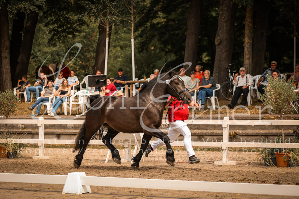 4.Sa00052 | Leoni Ertmer Photography - Realisiert mit Pictrs.com