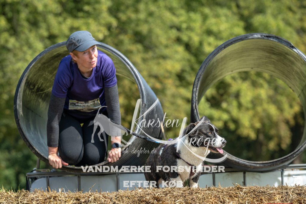 1303_ZZ91866 | kk-dogfotos