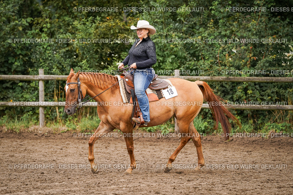 DSC05200 | Pferdegrafie