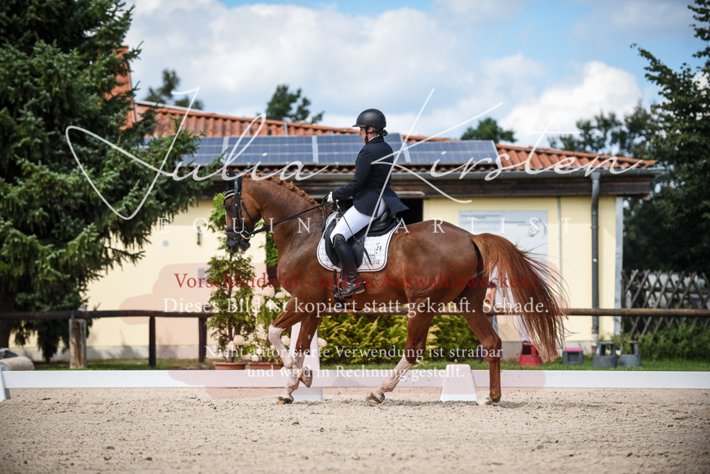 DSC_9349 | Pferde- und Turnierfotografie in Westsachsen. Pferdeportraits, Auftragszeichnungen und intuitive Kunst.