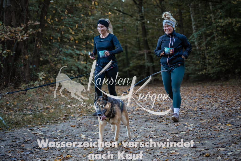 0856_ZZ96594 | kk-dogfotos