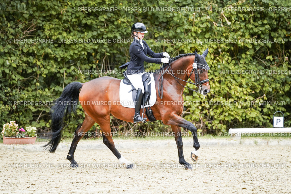 DSC07806 | Pferdegrafie