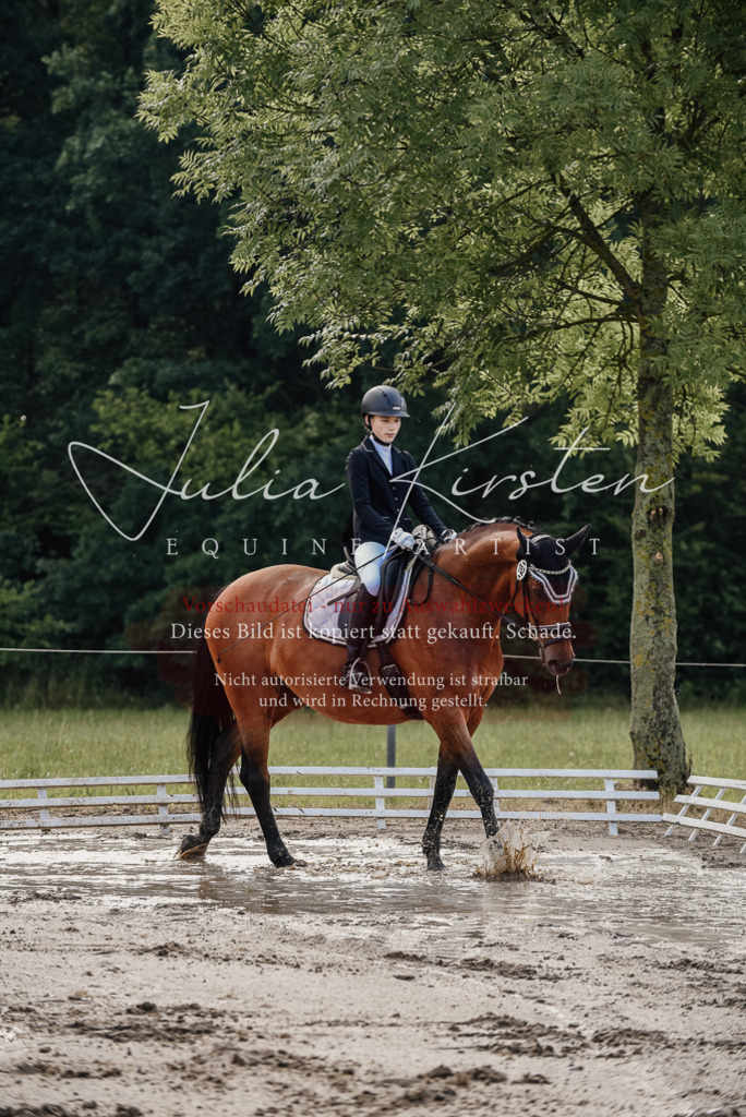 DSC_8121 | Pferde- und Turnierfotografie in Westsachsen. Pferdeportraits, Auftragszeichnungen und intuitive Kunst.