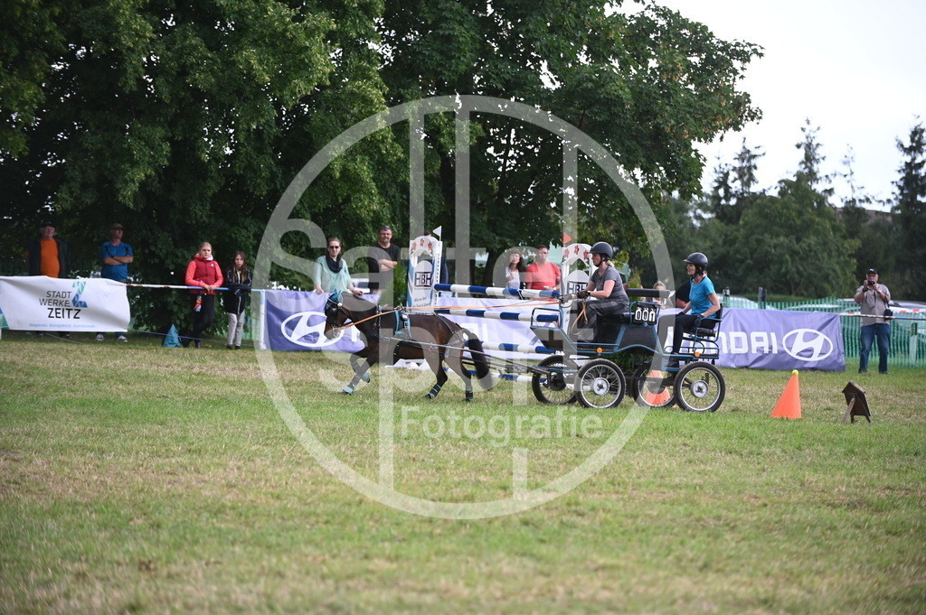 DSC_8623 | sattelsport - Realisiert mit Pictrs.com