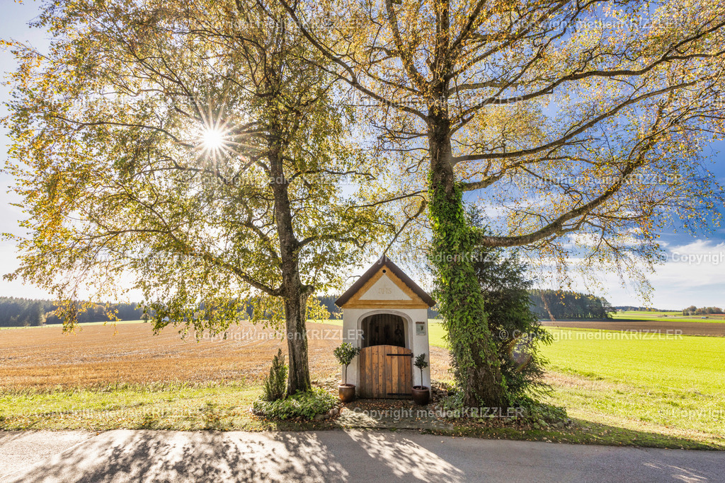 _J3A8938 | medienkrizzler - Realisiert mit Pictrs.com