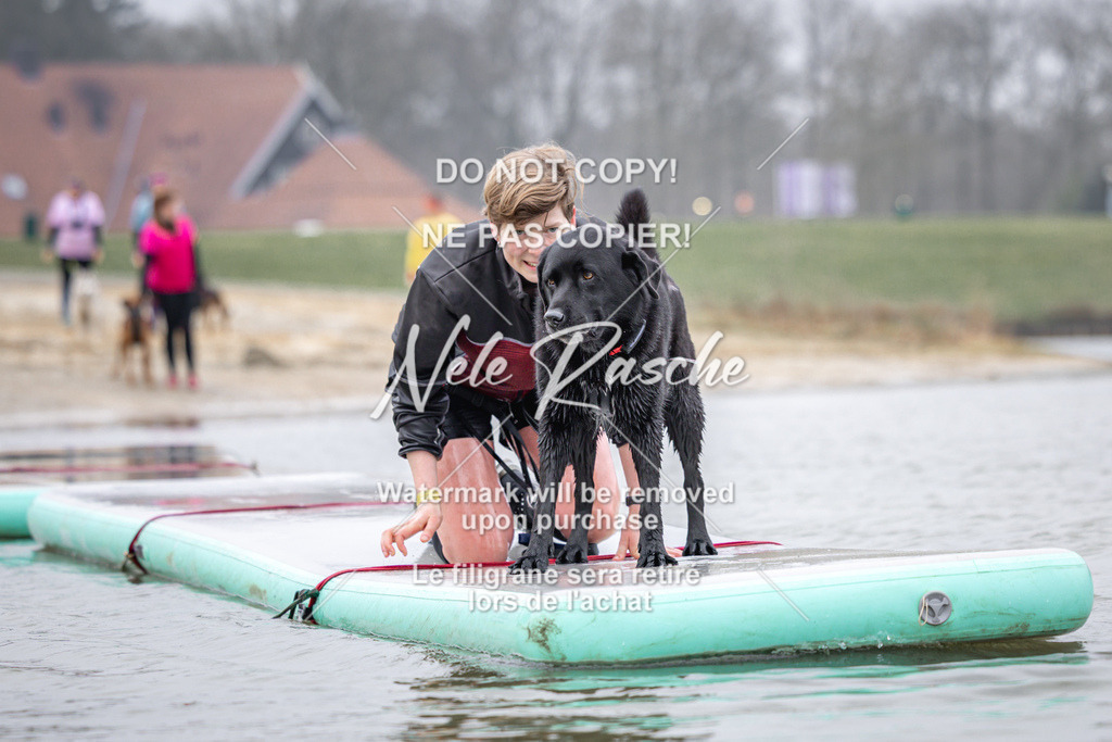 nelerasche_Hulsbeek_Sa1030-1100_171 | nelerasche