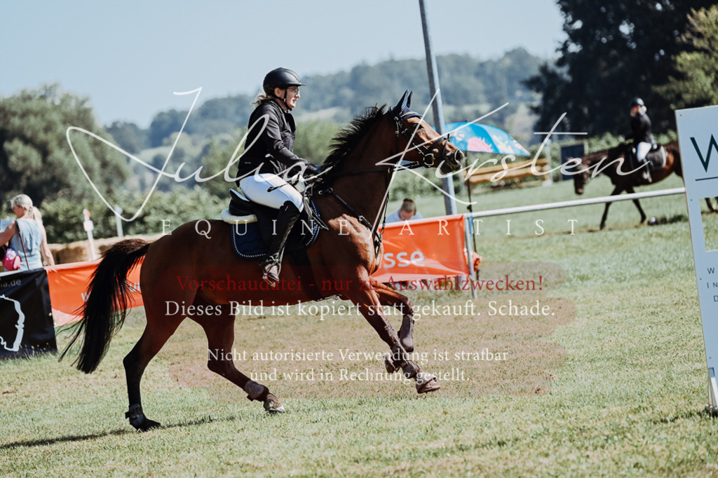 DSC_5799 | Pferde- und Turnierfotografie in Westsachsen. Pferdeportraits, Auftragszeichnungen und intuitive Kunst.