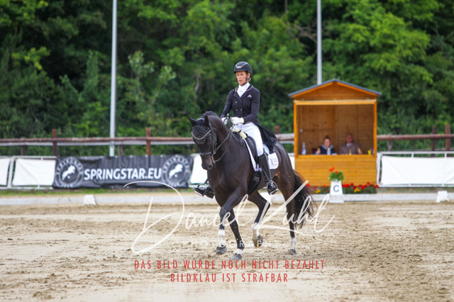 DKP47988 | Turniersportfotografie; Pferdefotografie; Dressurfotografie