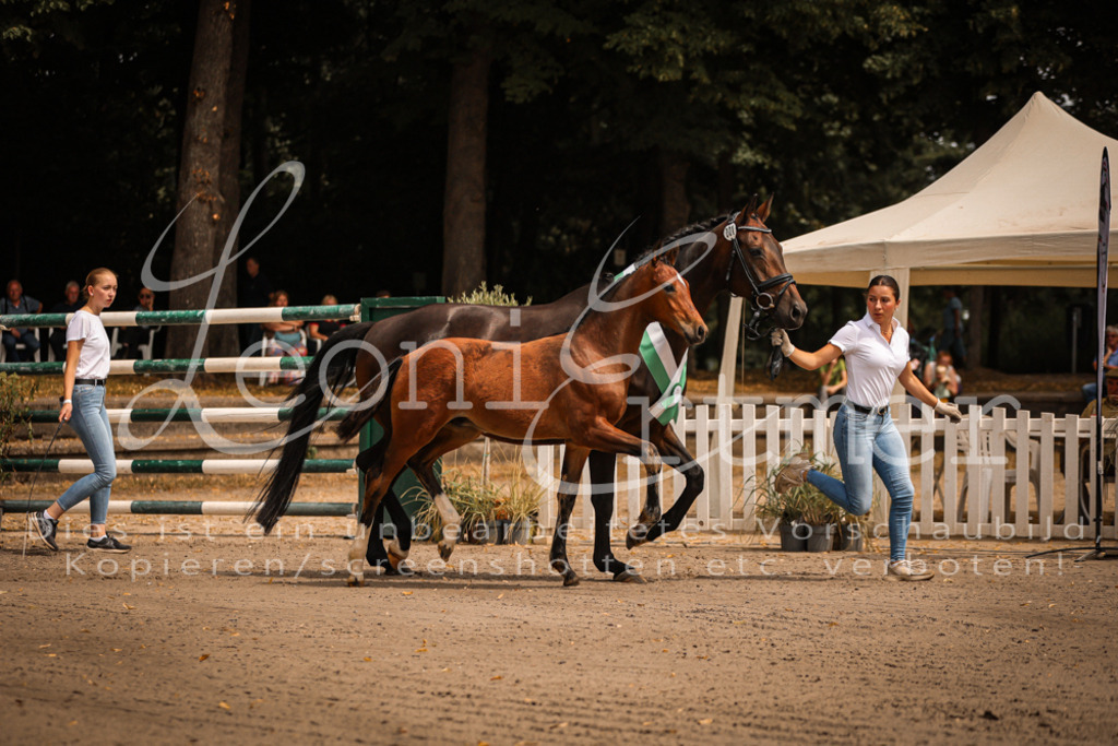 SaPA00006 | Leoni Ertmer Photography - Realisiert mit Pictrs.com