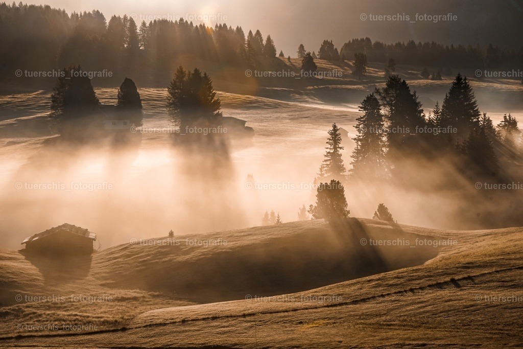 _DSC5028-01 | tuerschis_fotografie - Realisiert mit Pictrs.com