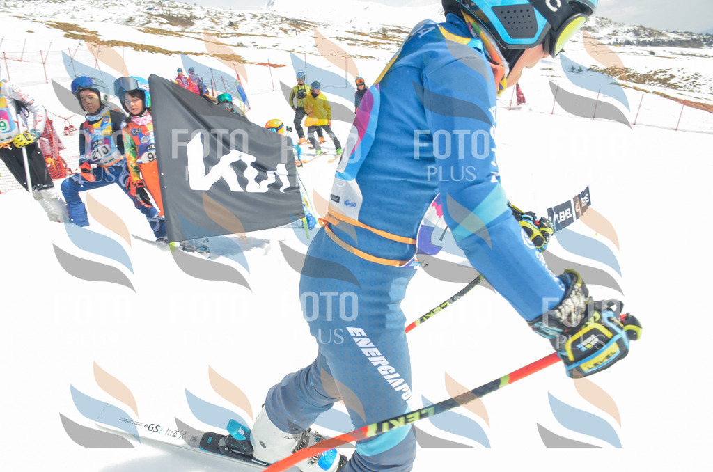 _ELE6609 | holidayphoto