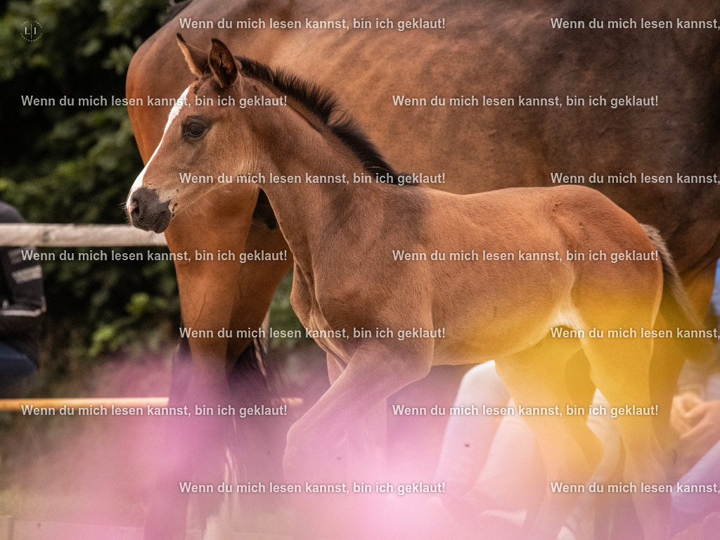 A10I3769 15.58.11 | photographylinaismer - Realisiert mit Pictrs.com