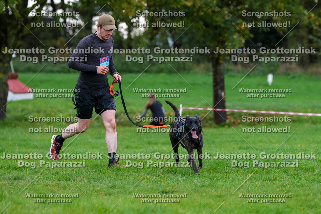 Dog Paparazzi -  SD1026-1985 | Dog Paparazzi Jeanette Grottendiek Fotografie & Videografie - Realisiert mit Pictrs.com